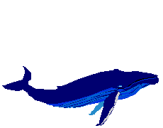 banginis animuoti-vaizdai-gif